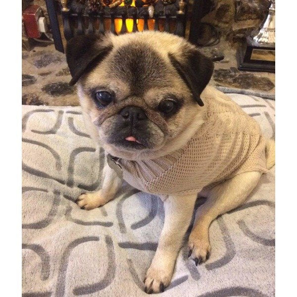 Cable Knit Dog Jumper Sweater 12"