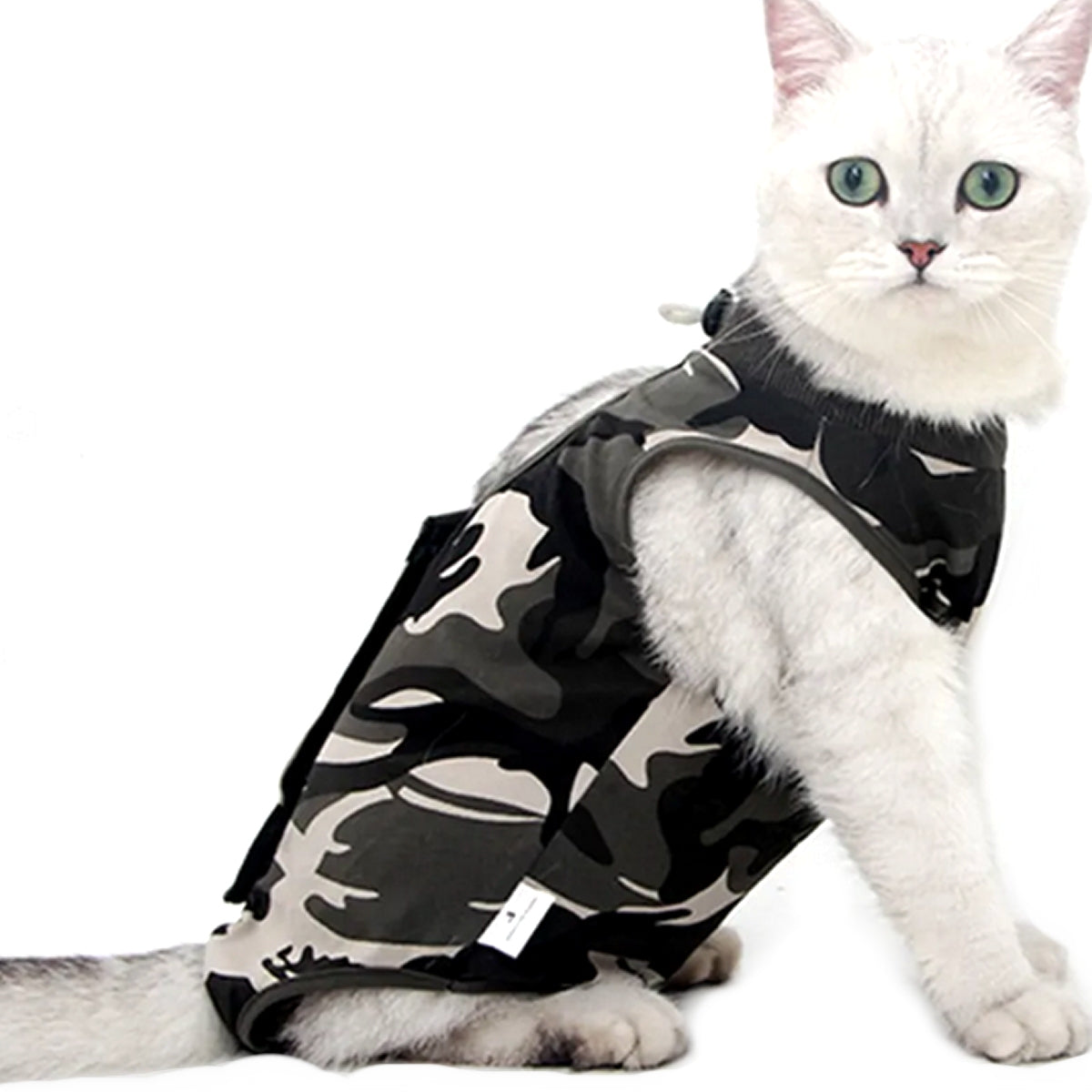 Traje de recuperación de cuerpo completo postoperatorio para gatos