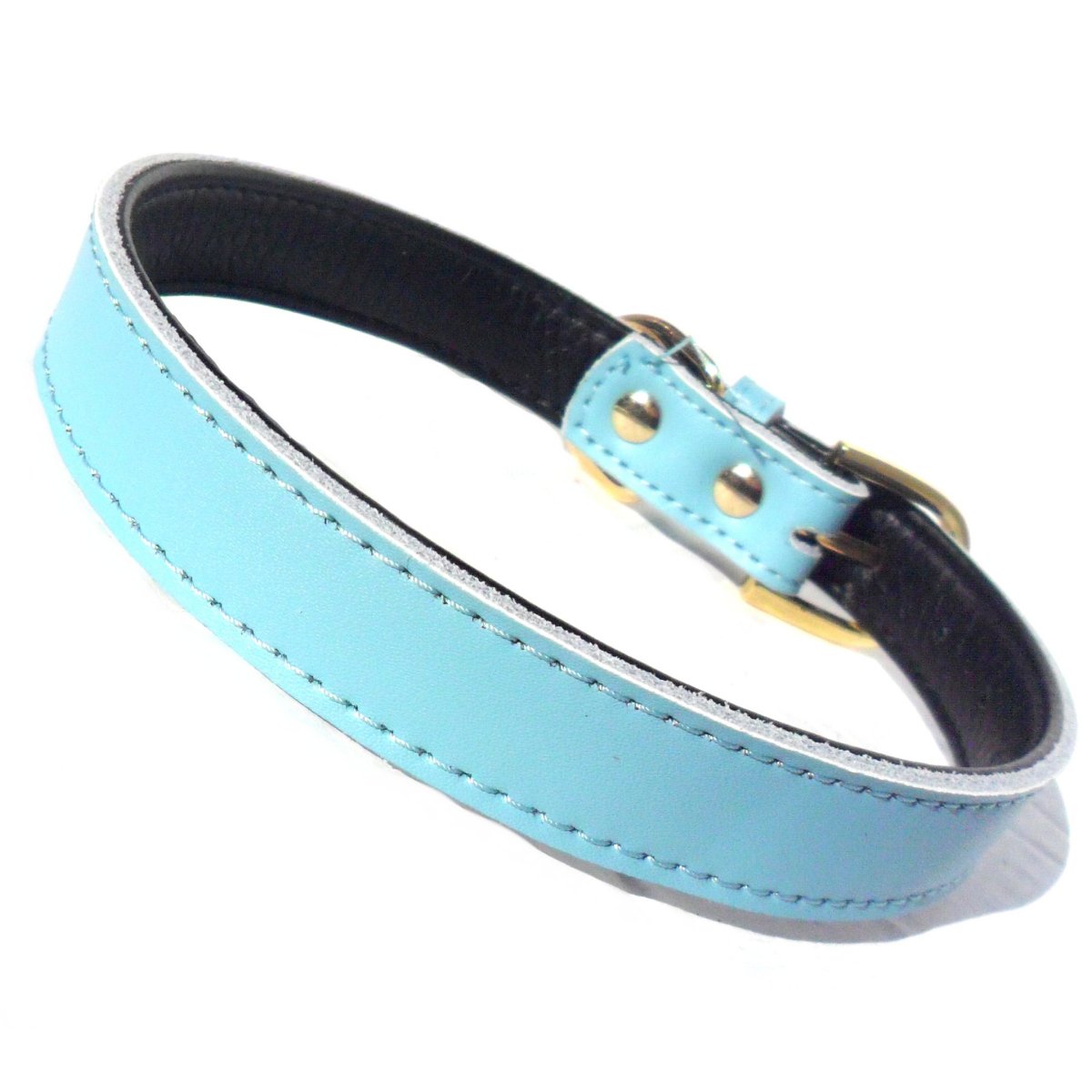 Chelsea best sale dog collar